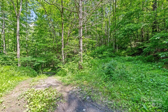 00 White Oak Rd, Waynesville, NC 28785 - photo 6