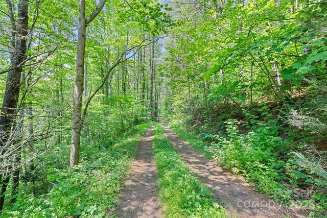 00 White Oak Rd, Waynesville, NC 28785 - photo 7