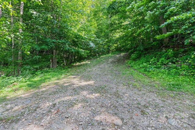 00 White Oak Rd, Waynesville, NC 28785 - photo 10
