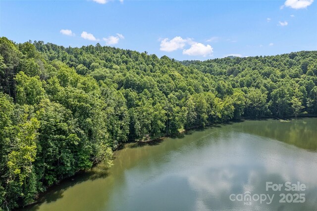 00 White Oak Rd, Waynesville, NC 28785 - photo 12