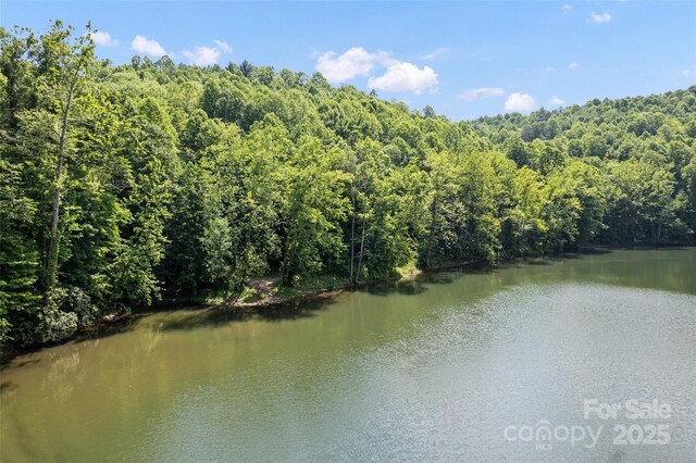 00 White Oak Rd, Waynesville, NC 28785 - photo 13