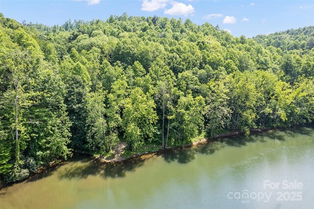 00 White Oak Rd, Waynesville, NC 28785 - photo 15