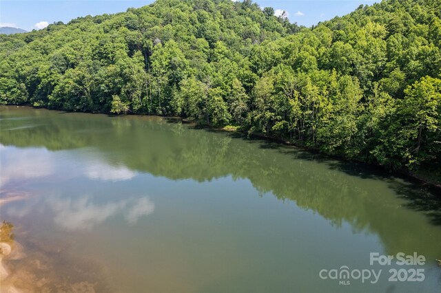 00 White Oak Rd, Waynesville, NC 28785 - photo 22