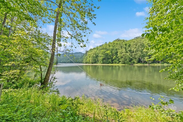 00 White Oak Rd, Waynesville, NC 28785 - photo 29