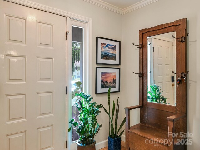 110 Aurora Dr, Asheville, NC 28805 - photo 7