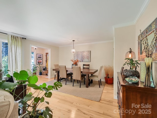 110 Aurora Dr, Asheville, NC 28805 - photo 11