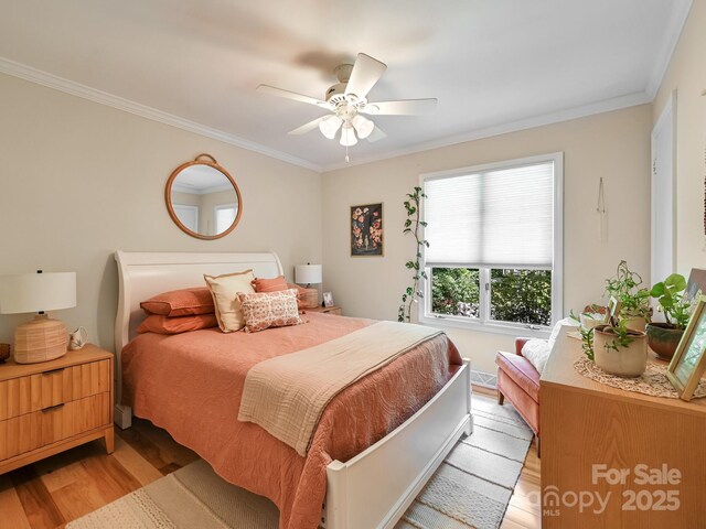 110 Aurora Dr, Asheville, NC 28805 - photo 20
