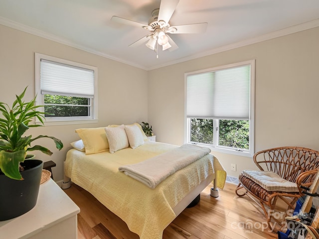 110 Aurora Dr, Asheville, NC 28805 - photo 22