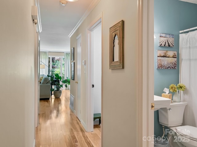 110 Aurora Dr, Asheville, NC 28805 - photo 23