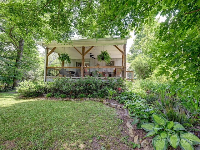 110 Aurora Dr, Asheville, NC 28805 - photo 47