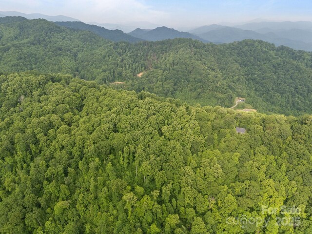00 Granny Shepherd Rd, Mars Hill, NC 28754