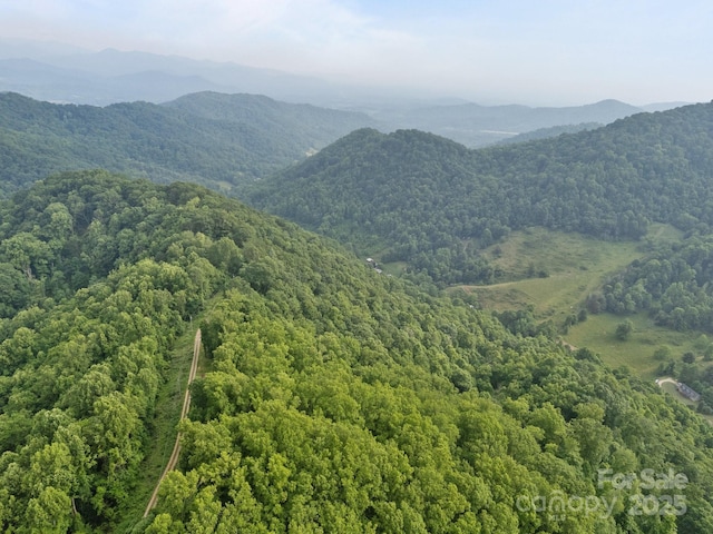 00 Granny Shepherd Rd, Mars Hill, NC 28754