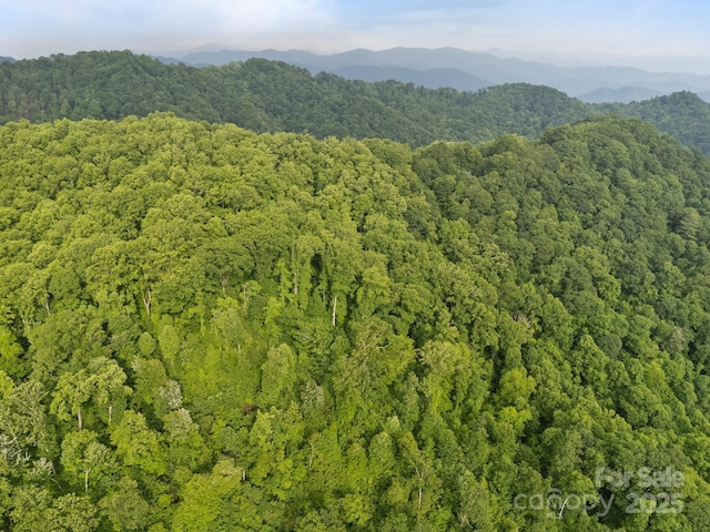 00 Granny Shepherd Rd, Mars Hill, NC 28754