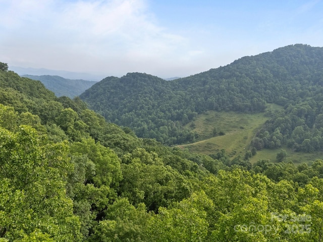 00 Granny Shepherd Rd, Mars Hill, NC 28754