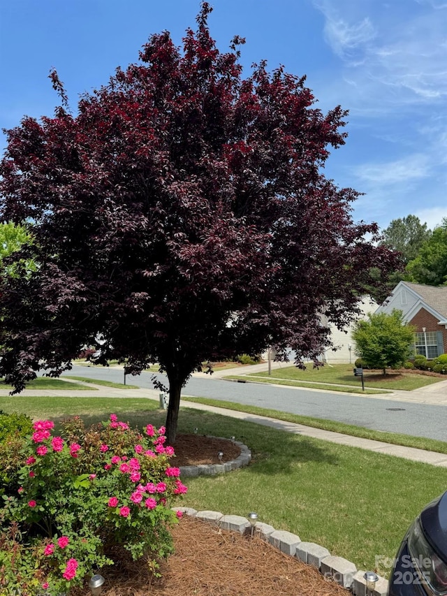 8722 Heron Glen Dr, Charlotte, NC 28269 - view of grassy yard