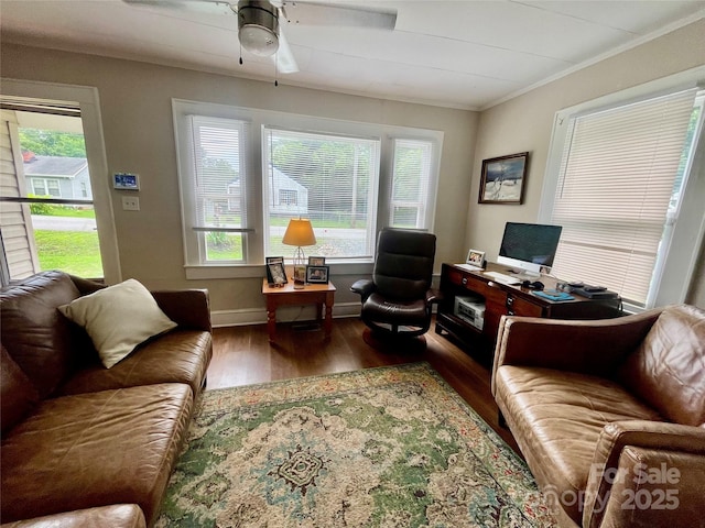 106 Peacock Ave, Lexington, NC 27292 - living room featuring wood finished floors, healthy amount of natural light, a ceiling fan, and ornamental molding