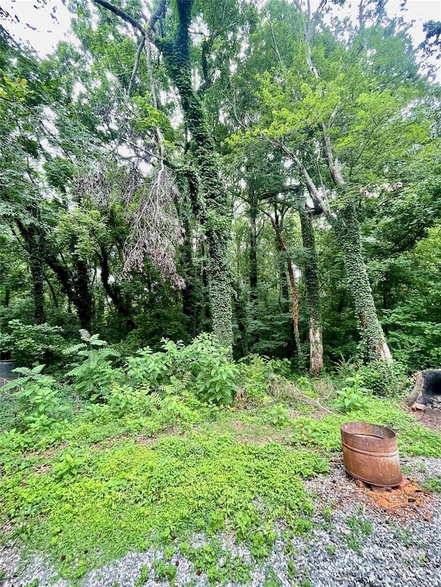 106 Peacock Ave, Lexington, NC 27292 - view of local wilderness
