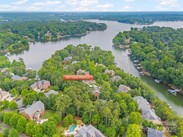 927 Cove Point Ln, Tega Cay, SC 29708 - photo 39