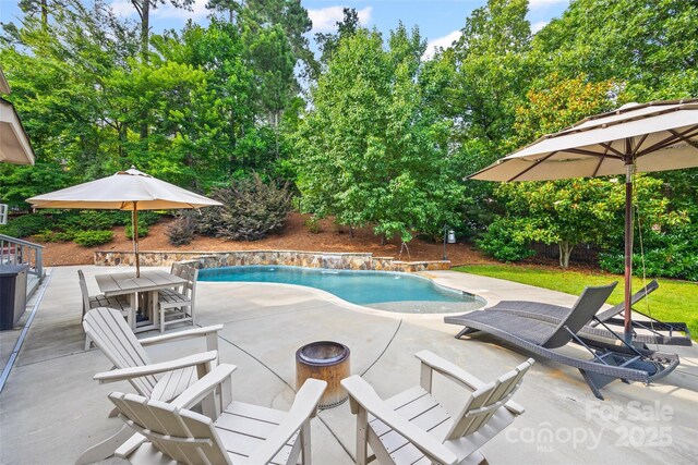 927 Cove Point Ln, Tega Cay, SC 29708 - photo 36