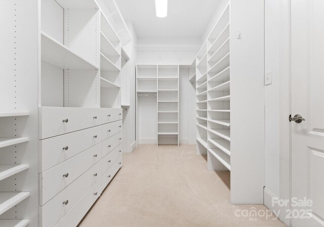 1108 Shinnecock Ln, Waxhaw, NC 28173 - spacious closet with light carpet