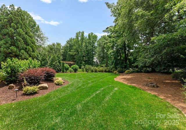 1108 Shinnecock Ln, Waxhaw, NC 28173 - view of grassy yard