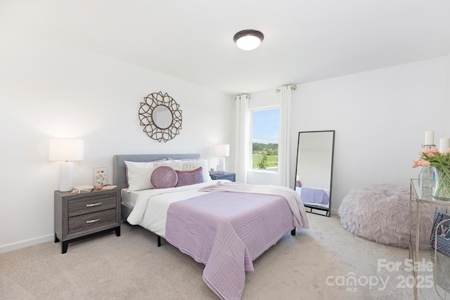 492 Switch St Unit 82Ty, York, SC 29745 - bedroom with light carpet and baseboards
