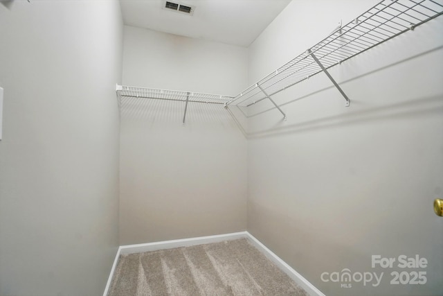 10867 Garden Oaks Ln, Charlotte, NC 28273 - walk in closet featuring carpet