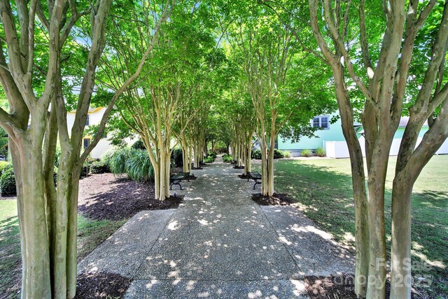 228 Coneflower Pl, Fort Mill, SC 29708 - photo 38