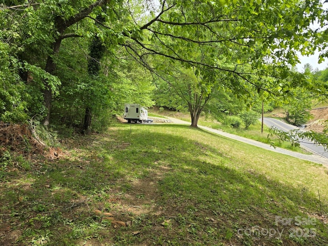 71 Banks Creek Rd, Burnsville, NC 28714 - photo 4