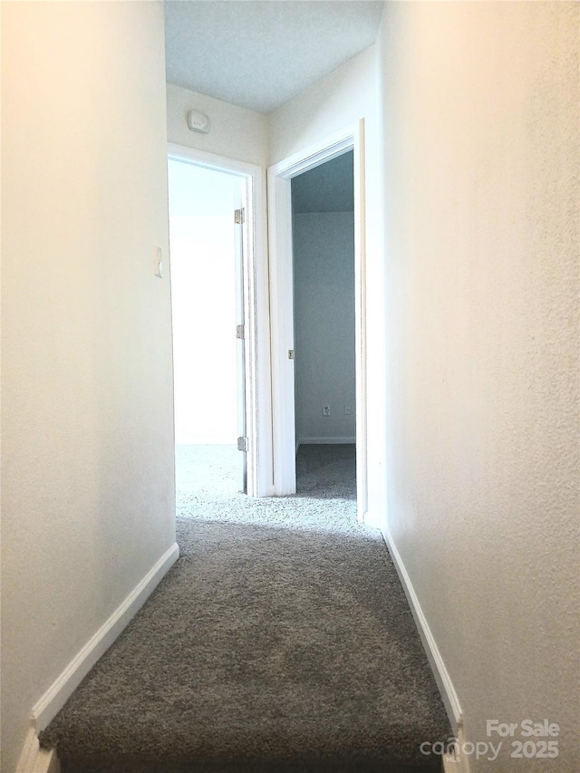 1911 Flushing Ct, Charlotte, NC 28215 - hallway with carpet flooring and baseboards