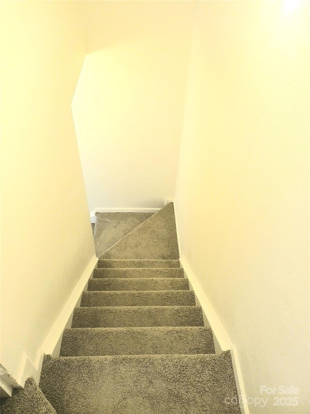 1911 Flushing Ct, Charlotte, NC 28215 - staircase featuring carpet flooring and baseboards