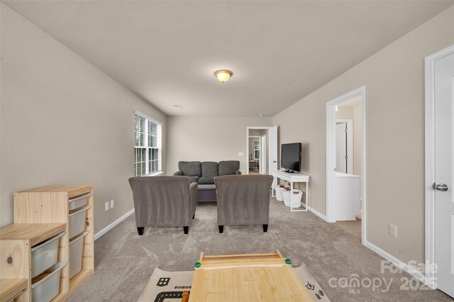 14734 Rivergate Pkwy, Charlotte, NC 28273 - photo 26