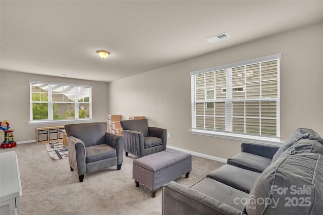 14734 Rivergate Pkwy, Charlotte, NC 28273 - photo 27