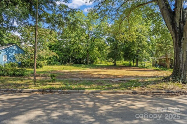 2413 Booker Ave, Charlotte, NC 28216 - photo 1