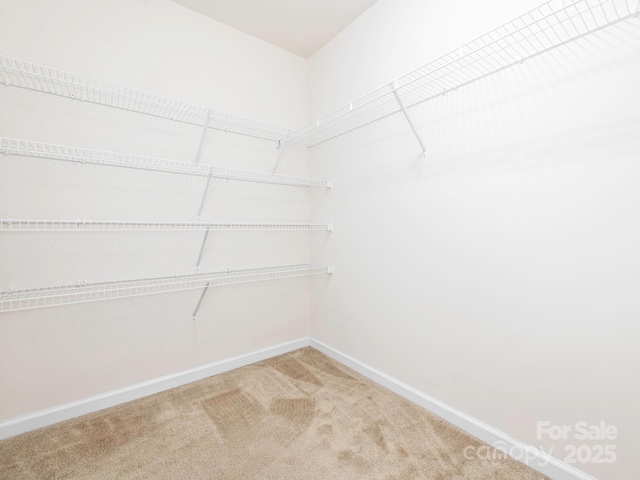 709 Volta Dr NW, Concord, NC 28027 - walk in closet featuring carpet floors