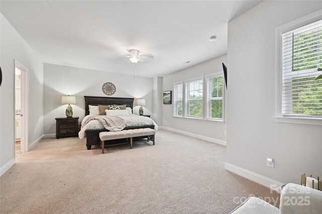 10022 Wayfair Meadow Ct, Charlotte, NC 28277 - bedroom featuring multiple windows, light colored carpet, and baseboards
