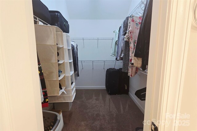 12312 Mcallister Park Dr, Charlotte, NC 28277 - spacious closet with carpet flooring