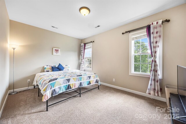 12312 Mcallister Park Dr, Charlotte, NC 28277 - bedroom featuring baseboards and carpet flooring