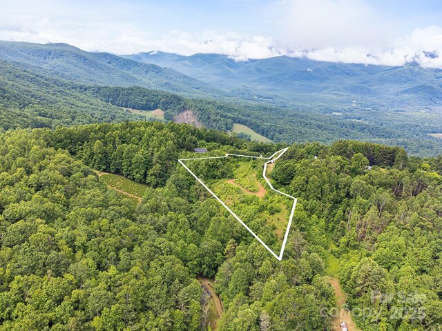 TBD Finch Lane, Burnsville, NC 28714 - photo 1