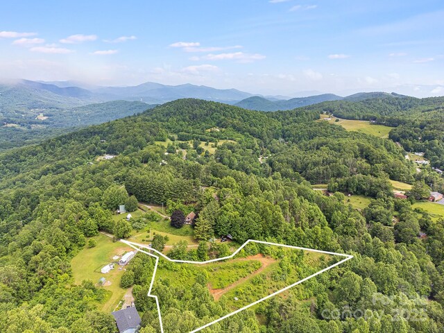 TBD Finch Lane, Burnsville, NC 28714 - photo 3