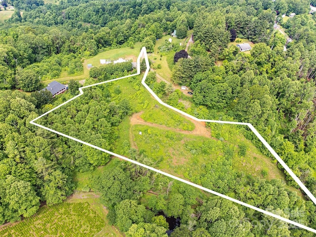 TBD Finch Lane, Burnsville, NC 28714 - photo 4