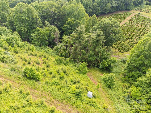 TBD Finch Lane, Burnsville, NC 28714 - photo 12