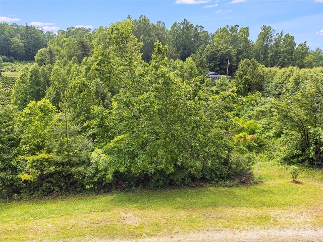 TBD Finch Lane, Burnsville, NC 28714 - photo 13