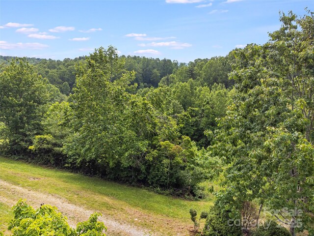 TBD Finch Lane, Burnsville, NC 28714 - photo 14