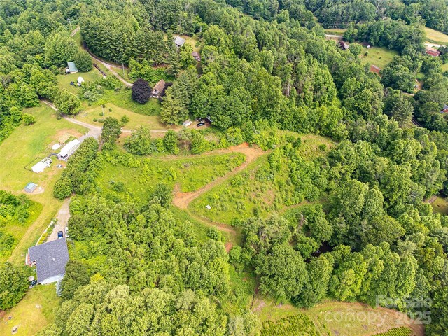 TBD Finch Lane, Burnsville, NC 28714 - photo 16