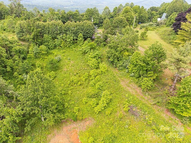 TBD Finch Lane, Burnsville, NC 28714 - photo 18