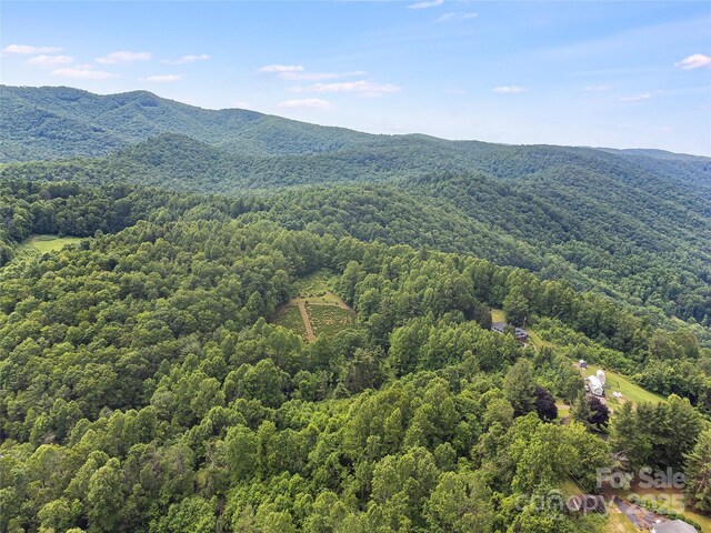 TBD Finch Lane, Burnsville, NC 28714 - photo 19