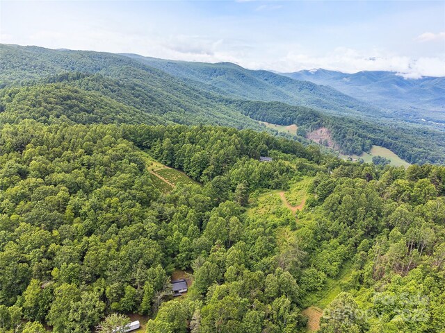 TBD Finch Lane, Burnsville, NC 28714 - photo 23