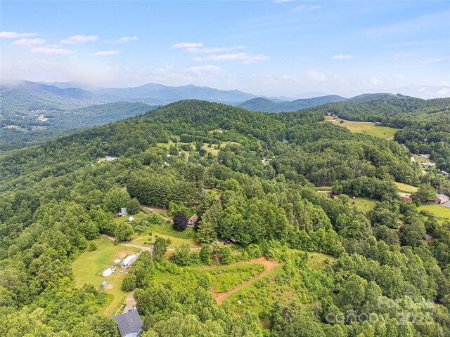 TBD Finch Lane, Burnsville, NC 28714 - photo 24