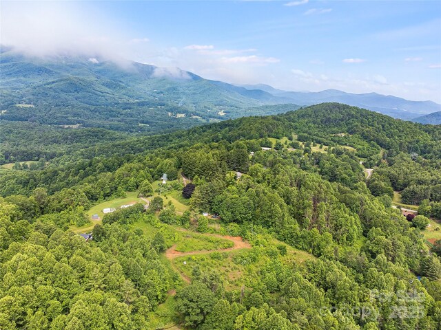 TBD Finch Lane, Burnsville, NC 28714 - photo 25